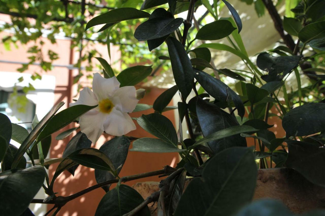 Casa Cifali Taormina Exterior foto